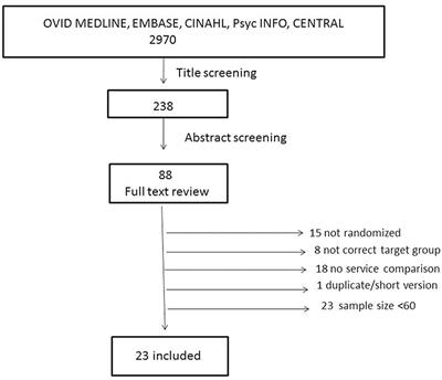 Randomized Controlled Trials of Rehabilitation Services in the Post-acute Phase of Moderate and Severe Traumatic Brain Injury – A Systematic Review